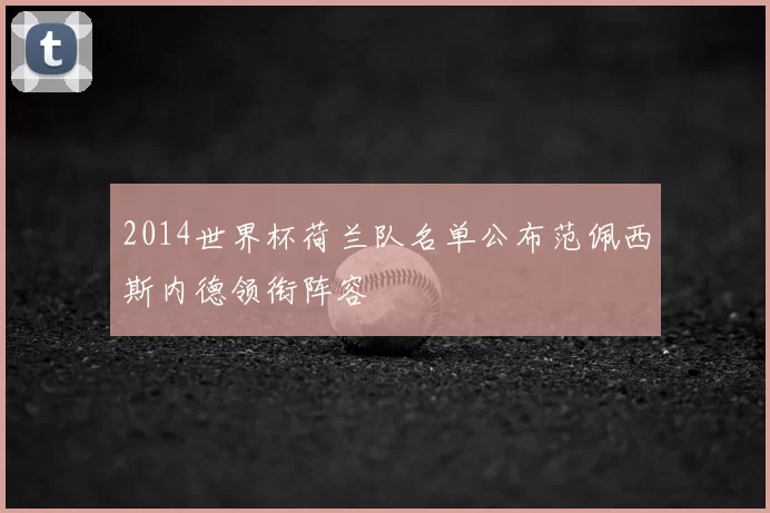 2014世界杯荷兰队名单公布范佩西斯内德领衔阵容