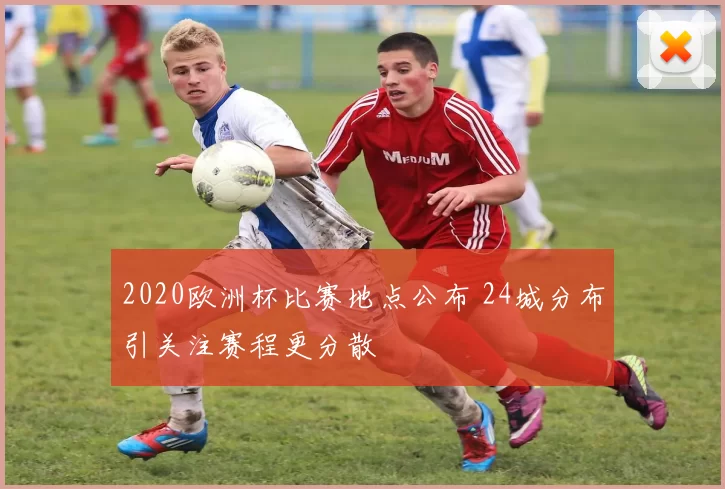 2020欧洲杯比赛地点公布 24城分布引关注赛程更分散