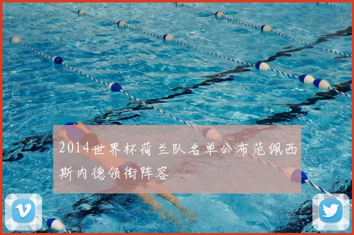 2014世界杯荷兰队名单公布范佩西斯内德领衔阵容